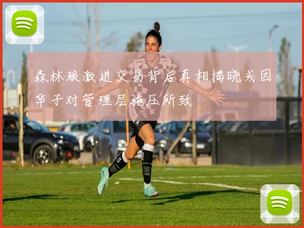 森林狼激进交易背后真相揭晓或因华子对管理层施压所致