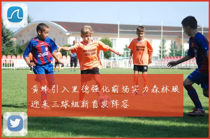 黄蜂引入里德强化前场实力森林狼迎来三球组新首发阵容